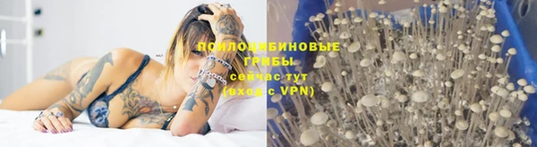 бутик Новый Уренгой