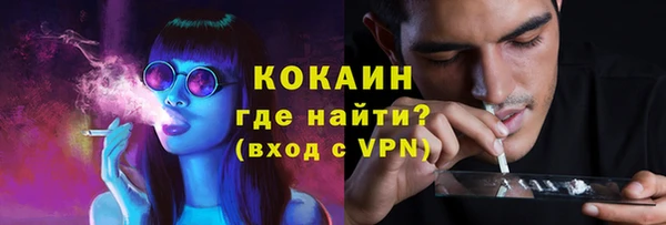 дживик Мегион