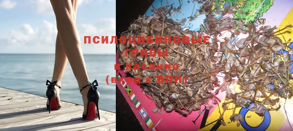 дживик Мегион