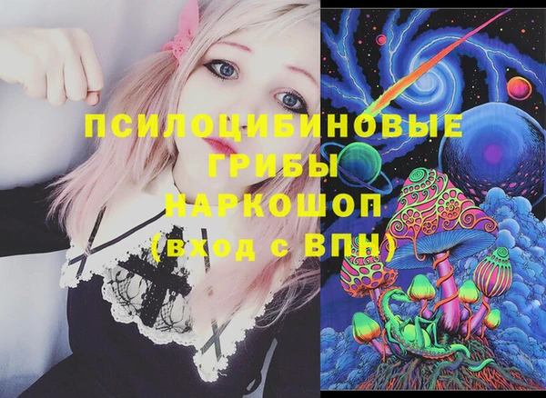 гашик Медвежьегорск