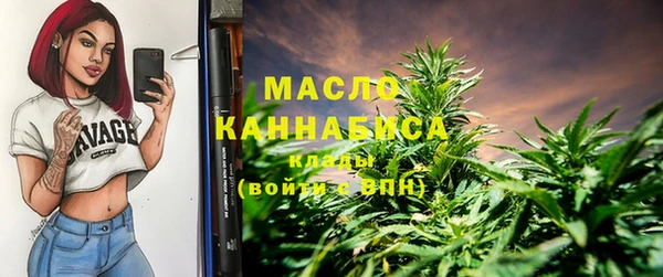 тгк Медногорск