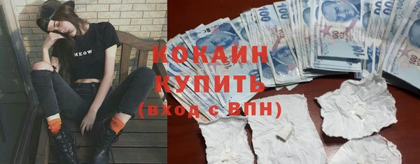 дживик Мегион