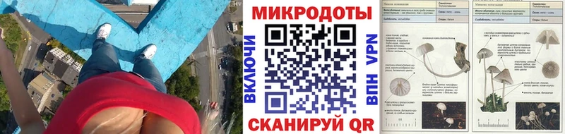 блэк спрут зеркало  Большой Камень  Псилоцибиновые грибы Psilocybine cubensis 