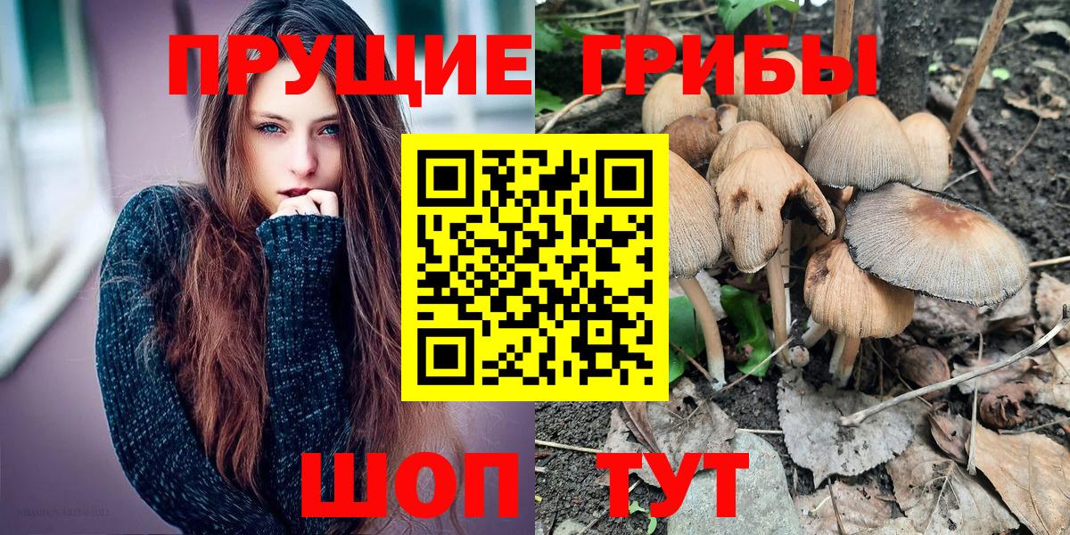 Псилоцибиновые грибы Magic Shrooms Большой Камень