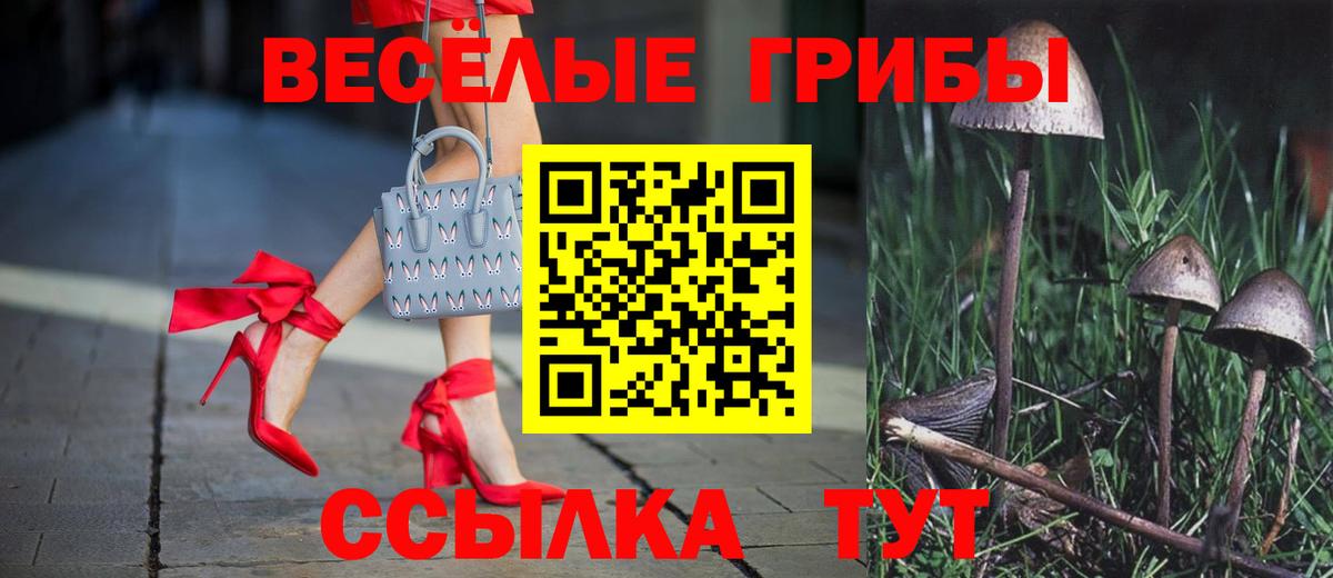 Галлюциногенные грибы мухоморы  Вход с VPN  Большой Камень 