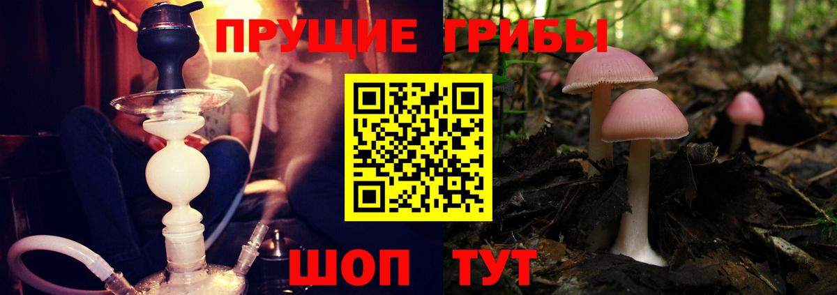 Галлюциногенные грибы мицелий Большой Камень