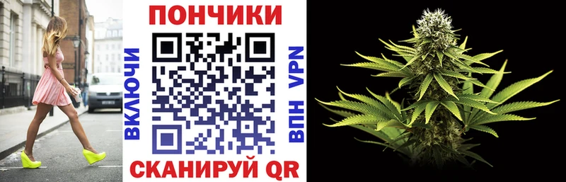 Бошки Шишки семена  Большой Камень 
